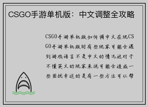 CSGO手游单机版：中文调整全攻略